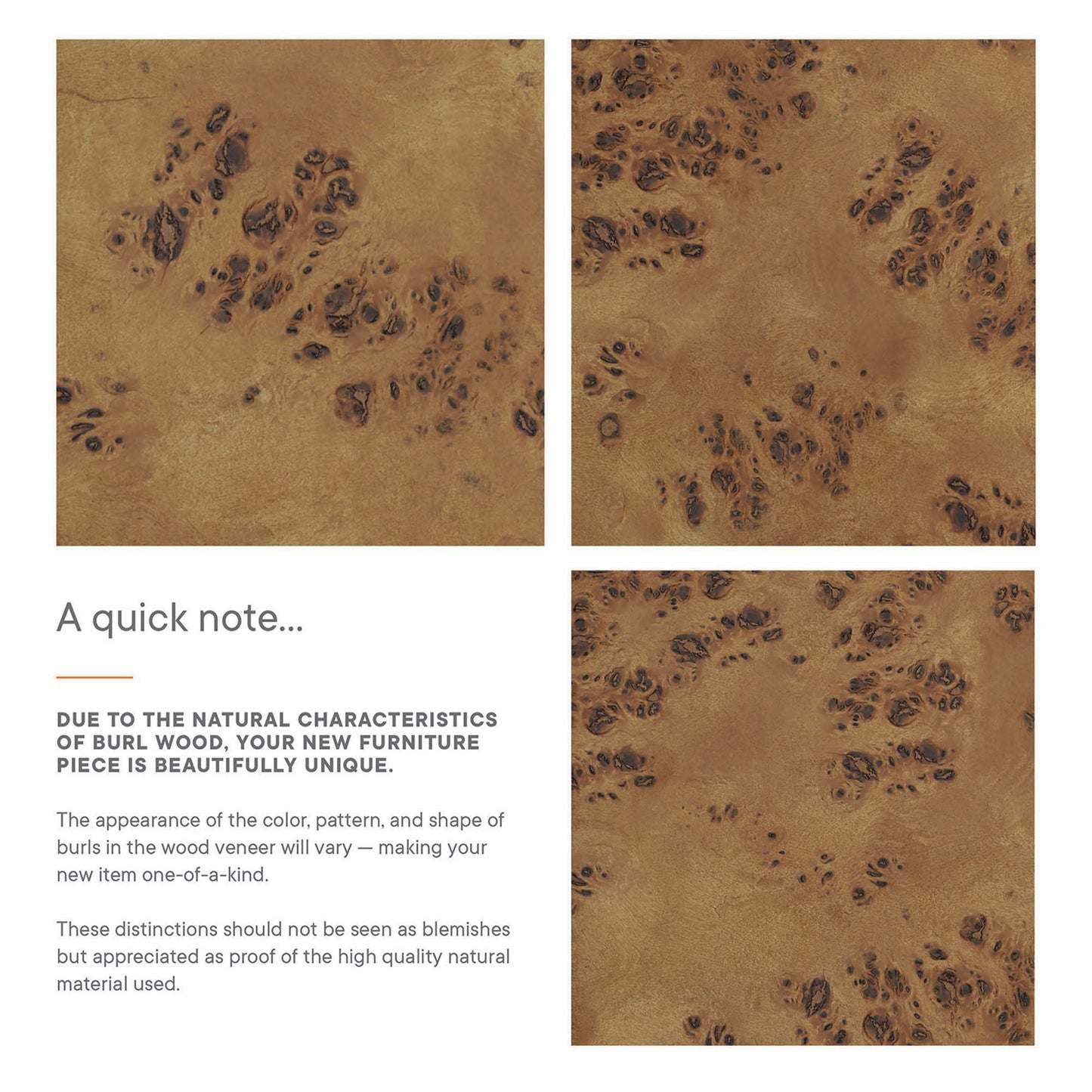 Modway, Elysian 24" Wood Bathroom Vanity Cabinet (Sink Basin Not Included)