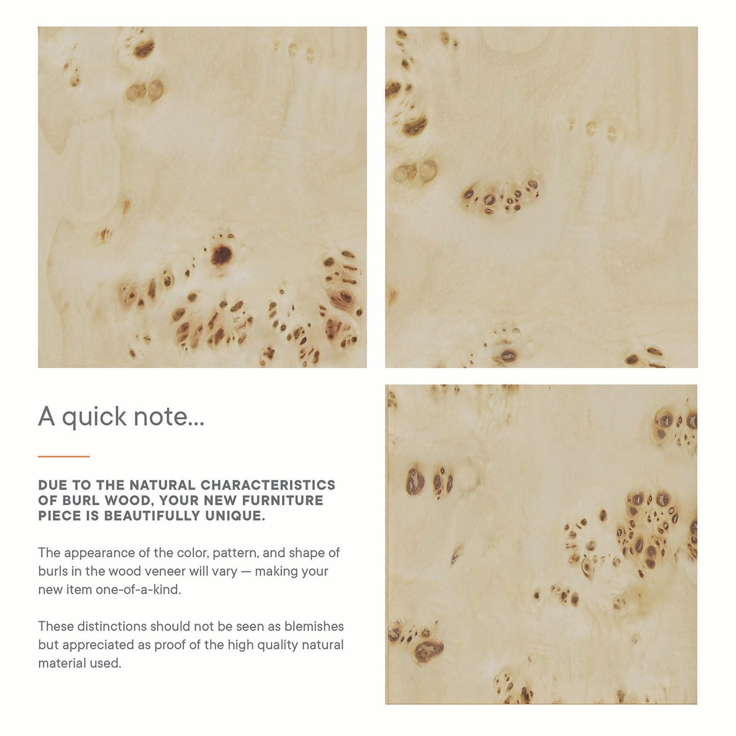 Modway, Elysian 48" Wood Bathroom Vanity Cabinet