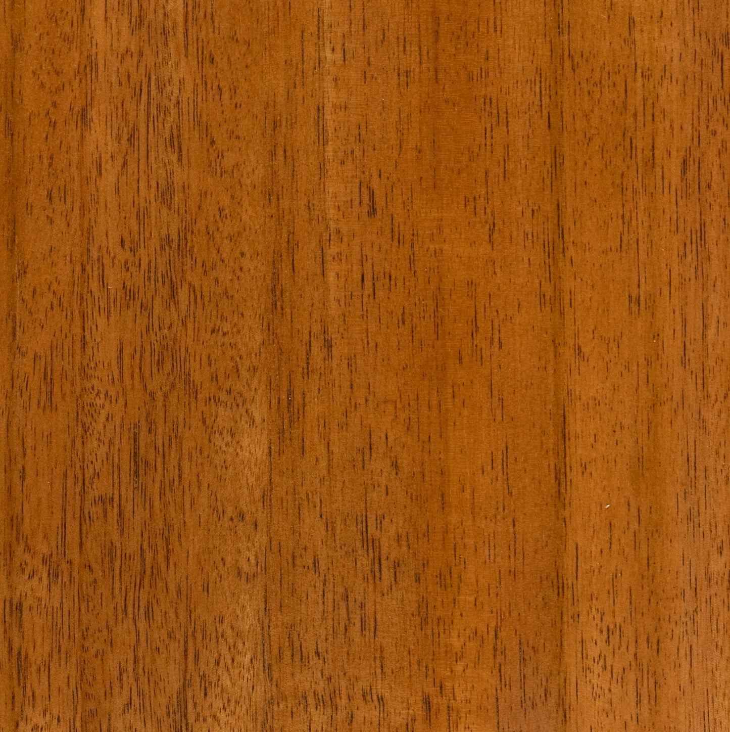 Sequoia 24 in. W x 8 in. D x 33 in. H Bathroom Storage Wall Cabinet in Mangowood | Water Creation