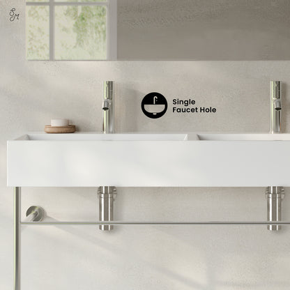 Swiss Madison, Claire 48" Double Basin Console Sink with Polished Chrome Legs