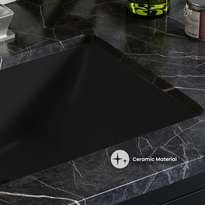 Swiss Madison, Plaisir 22" Ceramic Undermount Bathroom Sink in Matte Black